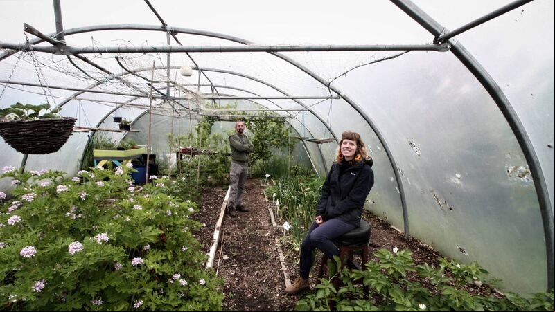 Green Women: Finding her NICHE on Cork’s northside Green Women: Finding her NICHE on Cork’s northside