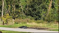 Spate of 'targeted' vandalism in Ballincollig 