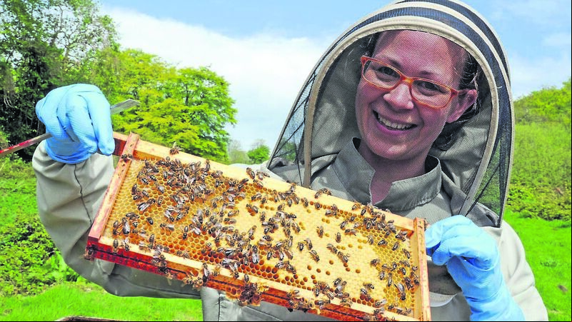 Dressmaker is now Cork’s queen bee Dressmaker is now Cork’s queen bee