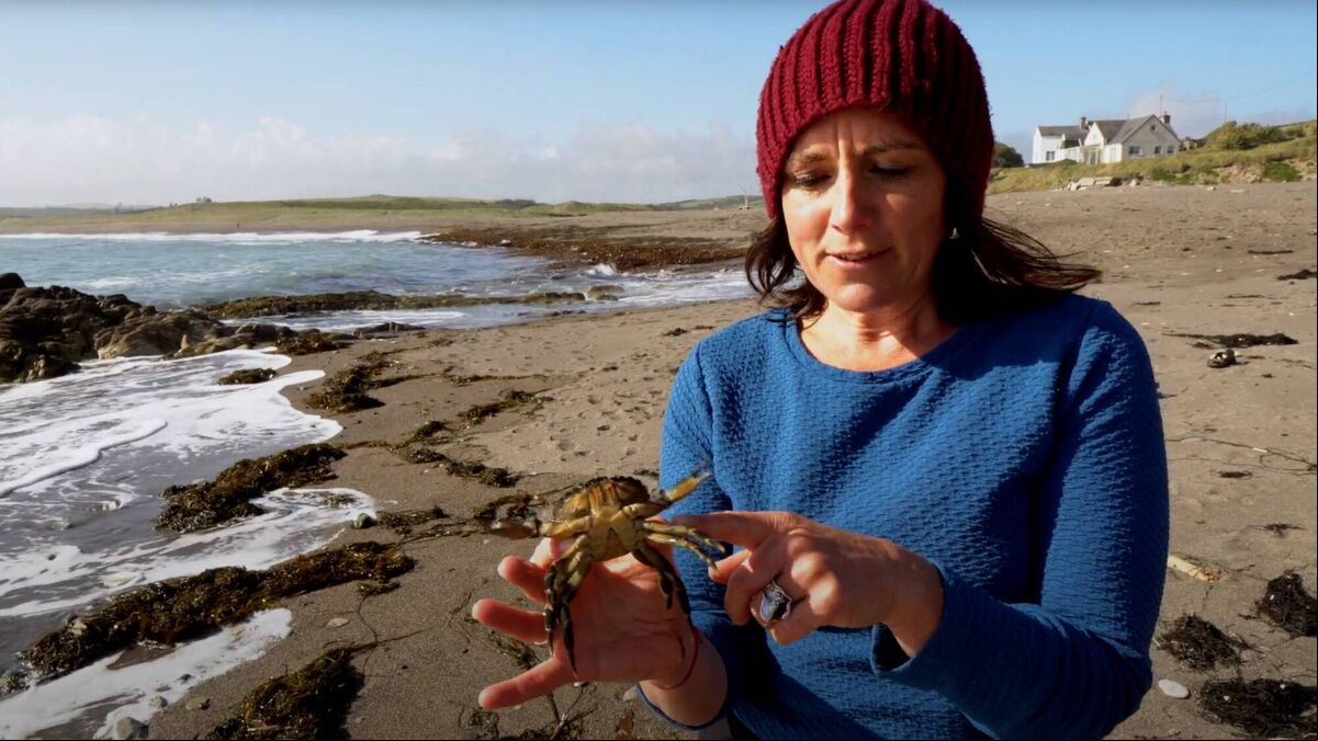 Mairéad O'Donovan in one of her Scoil na Mara videos. Mairéad O'Donovan in one of her Scoil na Mara videos.