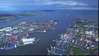 Dublin Port 'mayhem' fails to materialise, says official