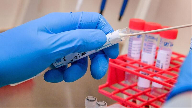 Health service expects ‘busy’ September for Covid-19 testing in schools