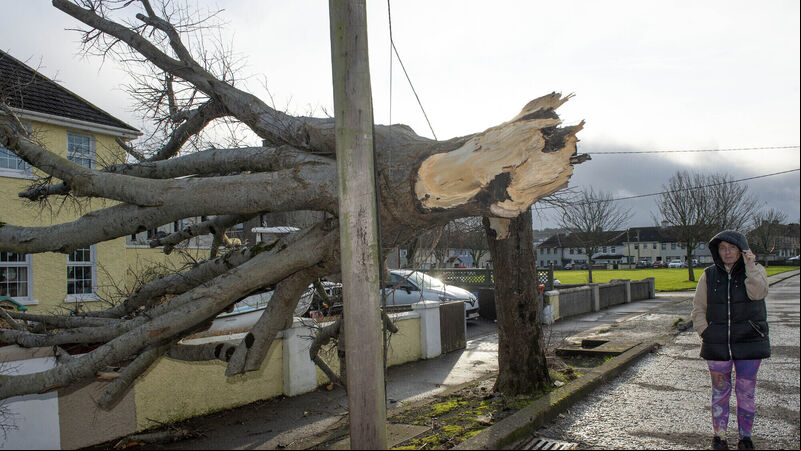 Fallen trees, overturned trucks and closed roads: Cleanup continues after Barra’s first night in Cork Fallen trees, overturned trucks and closed roads: Cleanup continues after Barra’s first night in Cork