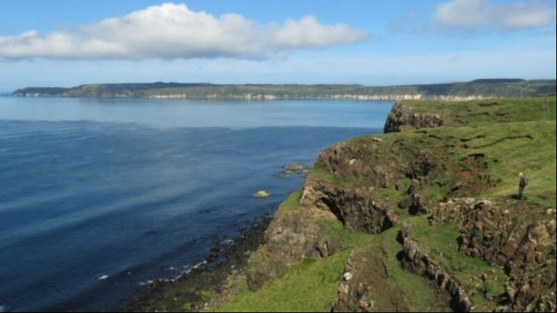 Bird flu detected on Rathlin Island