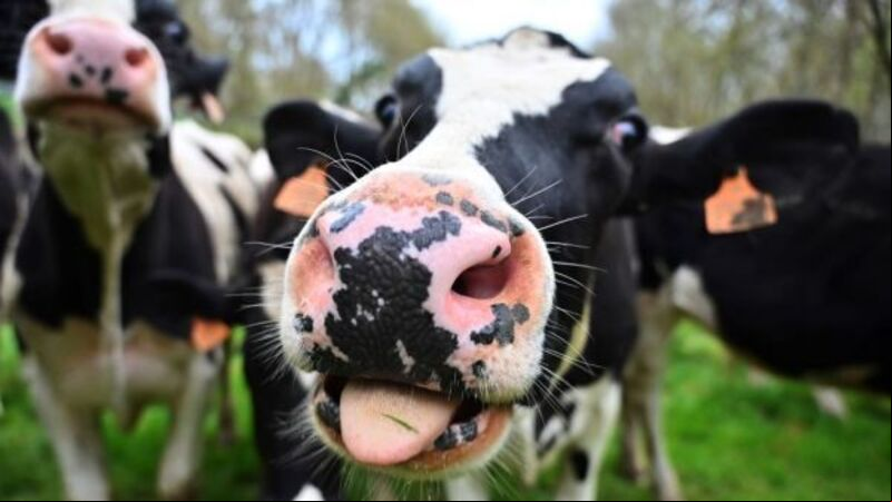 Time to act on methane emissions is now, warns climate expert Time to act on methane emissions is now, warns climate expert