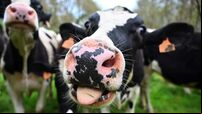 Time to act on methane emissions is now, warns climate expert
