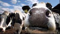 Agriculture Minister ‘very committed’ to 51% emissions cut by 2030