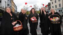 Fun-filled family festival to celebrate 'heart and soul' of Cork city