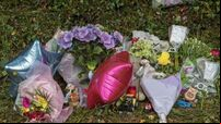 Drew Harris: Responding to children’s deaths places heavy burden on gardaí