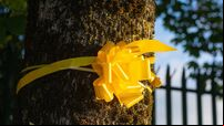 Road-widening plans prompt ribbon protest on Boreenmanna Road