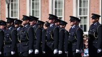 Justice Minister urged to increase Garda numbers to tackle rural crime