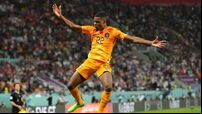Netherlands see off USA to reach World Cup quarter-finals
