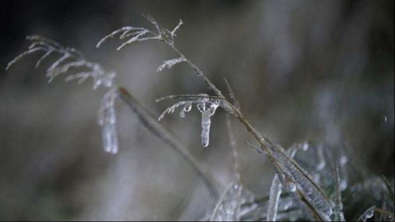 Emergency group meet to discuss current cold snap Emergency group meet to discuss current cold snap