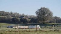 Body removed from Co Kildare helicopter crash site