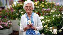 The way Mary Berry transports her Christmas turkey is genius