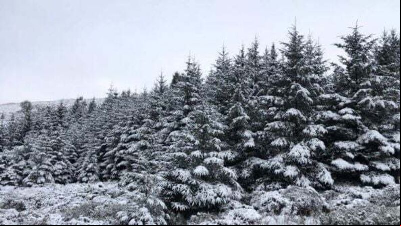 Cold weather continues into the weekend as Met Éireann issues yellow warning Cold weather continues into the weekend as Met Éireann issues yellow warning