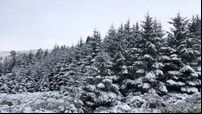 Cold weather continues into the weekend as Met Éireann issues yellow warning