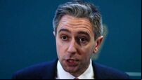 Minister for Justice promises 'enhanced policing' of Rathkeale after violent scenes