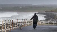 Wind warning in place for western counties