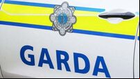 Driver dies in collision between car and truck in Co Limerick