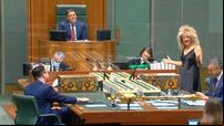 MP attends Australian parliament dressed as Tina Turner for cancer fundraiser