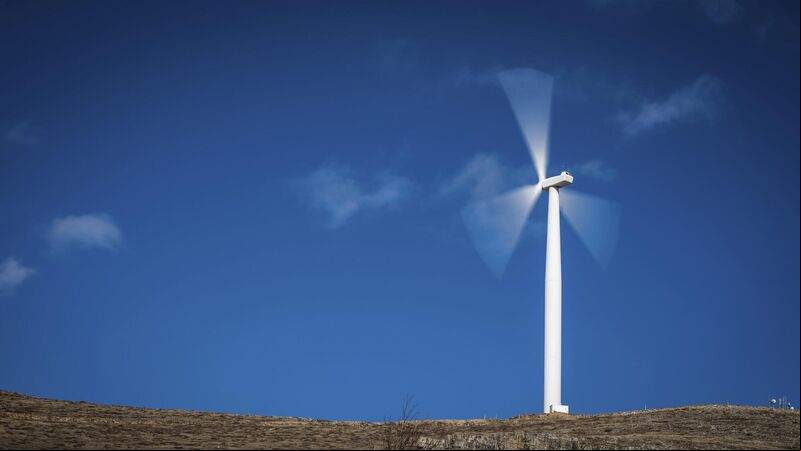 Ireland at risk of not capitalising on wind energy potential, says Cork MEP Ireland at risk of not capitalising on wind energy potential, says Cork MEP