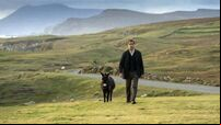 Irish talent hopes for Oscars success against Everything Everywhere All At Once