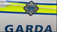 Teenager dies after being struck by bus in Longford