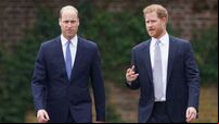 Queen Elizabeth told head of British army her grandsons could fight on front line – documentary