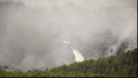 More than 3,400 hectares damaged as record number of wildfires in Ireland last year