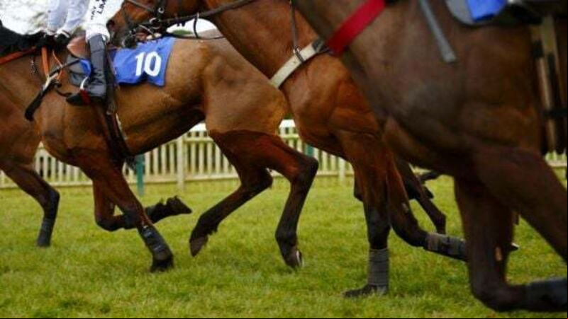 Horse Racing Ireland says industry being hammered by rising insurance costs Horse Racing Ireland says industry being hammered by rising insurance costs