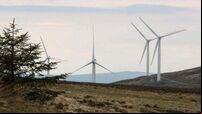 Wind farms produce one third of Ireland's energy in first half of the year