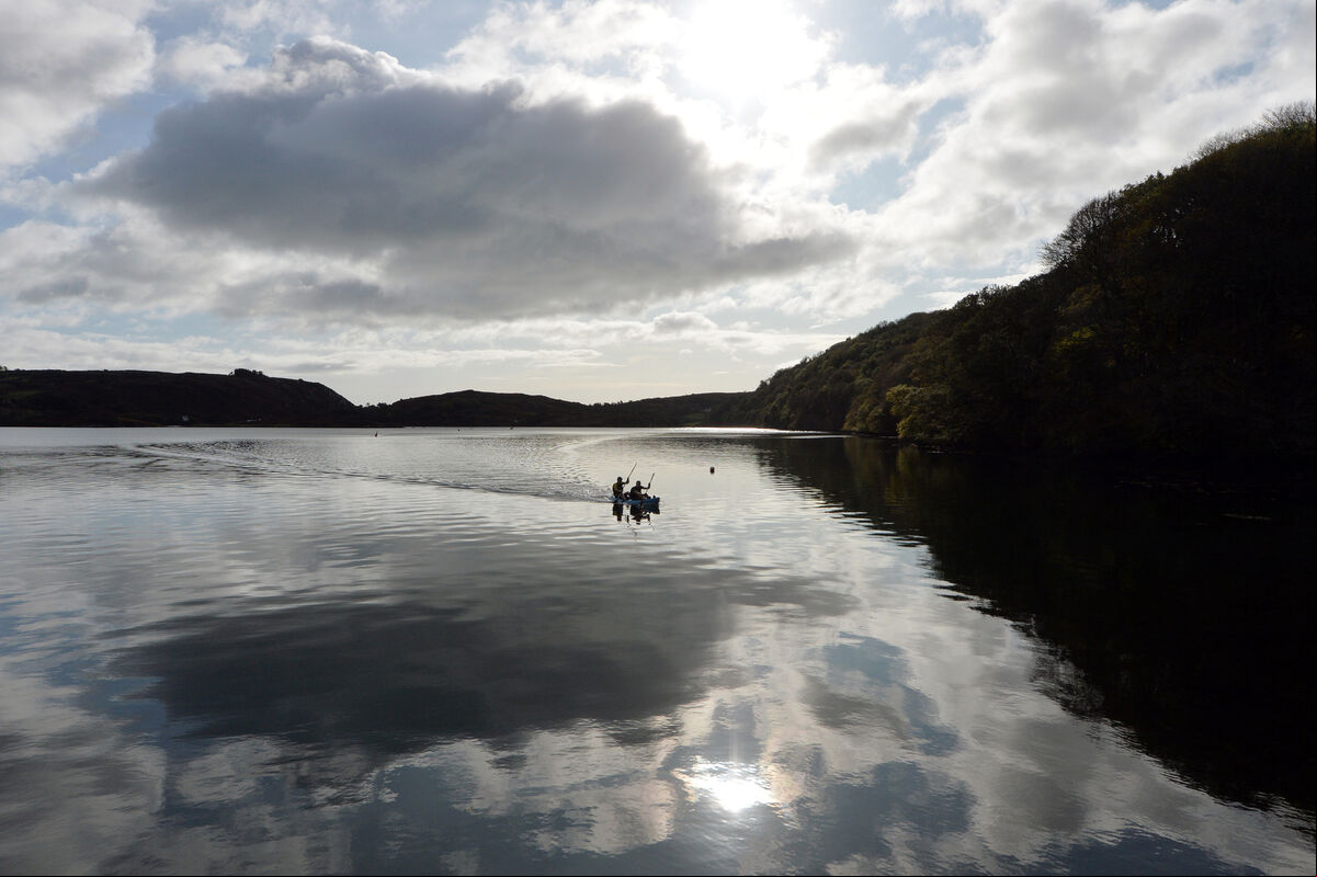 Molly loves visiting Lough Hyne. Picture: Denis Minihane Molly loves visiting Lough Hyne. Picture: Denis Minihane