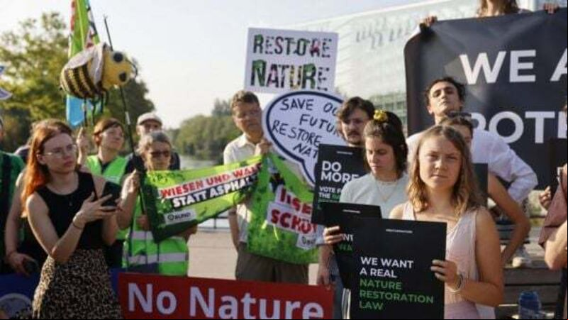 All Irish MEPs back major plan to protect nature and fight climate change All Irish MEPs back major plan to protect nature and fight climate change