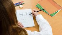 Tusla at 'crisis point' after concern raised over 'systemic' shortcomings
