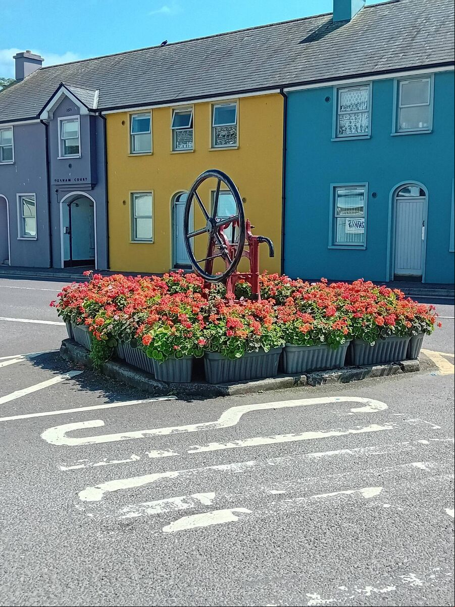 Flower beds in Clonakilty. Flower beds in Clonakilty.