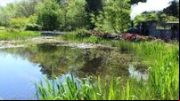 Midland bogs set to be developed into a tourist destination