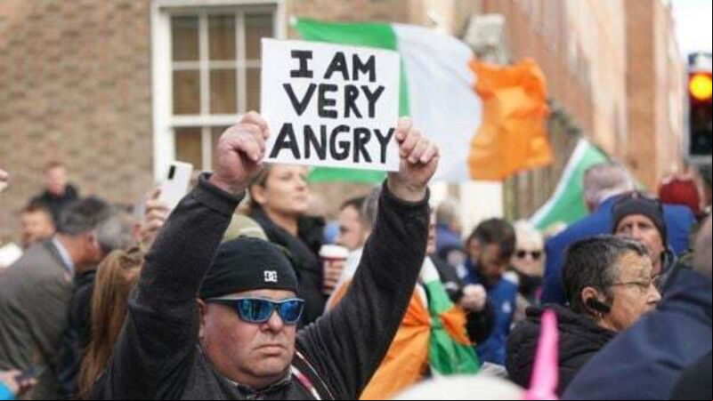 Thirteen arrested after demonstrators bring mock gallows to Leinster House protest Thirteen arrested after demonstrators bring mock gallows to Leinster House protest