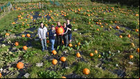 Pick-a-Pumpkin festival returns to Field of Dreams