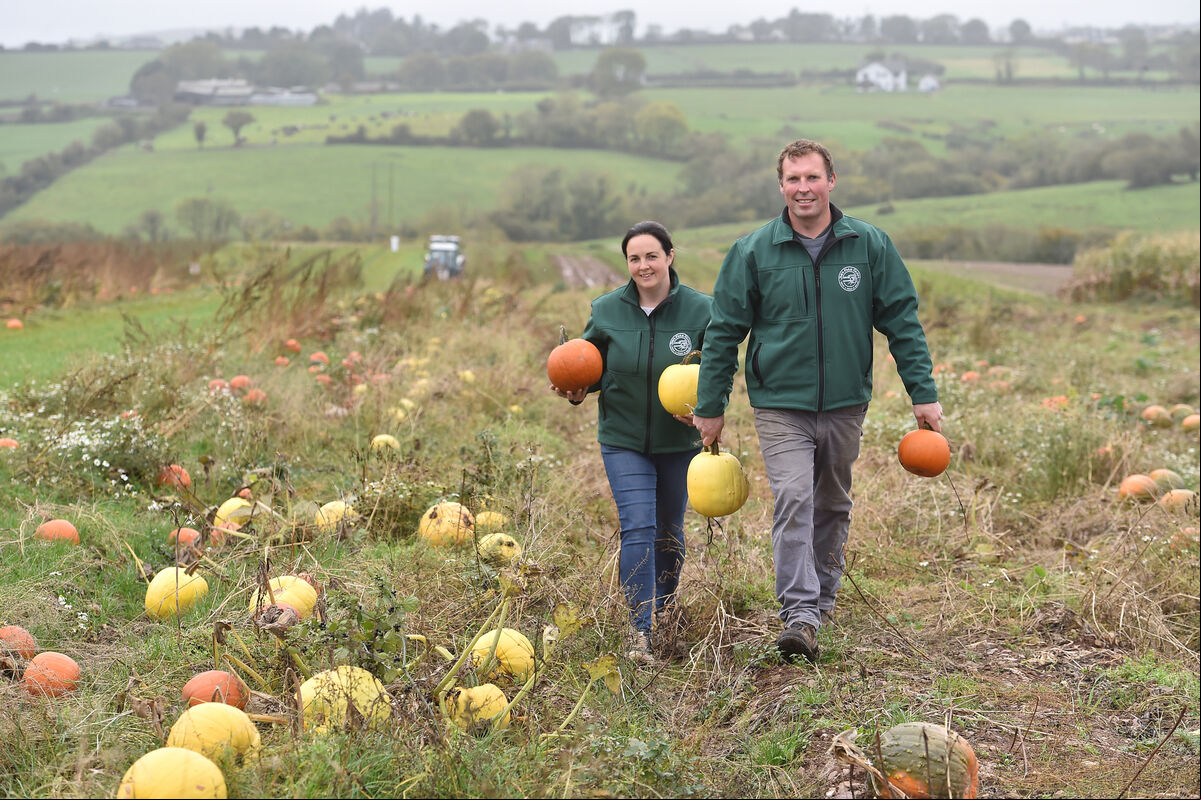 Sandra and Joe Burns picking pumpkins at Joe's Farm, Killeagh, East Cork. Picture Dan Linehan Sandra and Joe Burns picking pumpkins at Joe's Farm, Killeagh, East Cork. Picture Dan Linehan