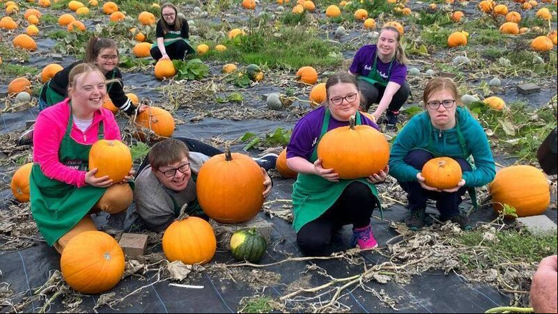 Best spots in Cork for Pumpkin picking Best spots in Cork for Pumpkin picking