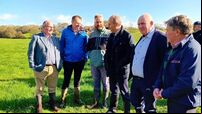 West Cork farmers seek more time to prove effectiveness of measures to improve water quality
