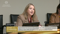 ‘Only a trickle’ of aid going into Gaza, charities tell Oireachtas committee