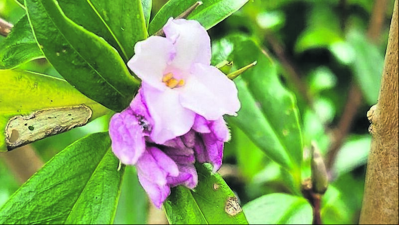Be at one with nature as you plan your 2024 garden Be at one with nature as you plan your 2024 garden