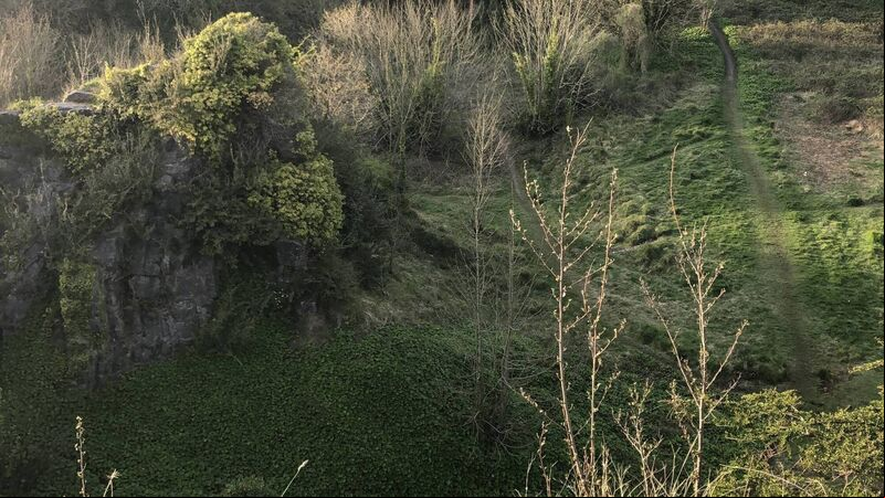 BusConnects officials urged to formally take Beaumont Quarry proposals off the table BusConnects officials urged to formally take Beaumont Quarry proposals off the table
