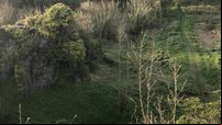 BusConnects officials urged to formally take Beaumont Quarry proposals off the table 