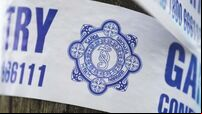 Man (30s) dies in hospital after west Dublin assault