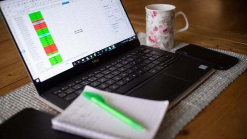 Employment opportunities expected to grow 8% this year Employment opportunities expected to grow 8% this year
