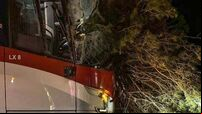 Lucky escape for driver and engers after tree smashes into bus