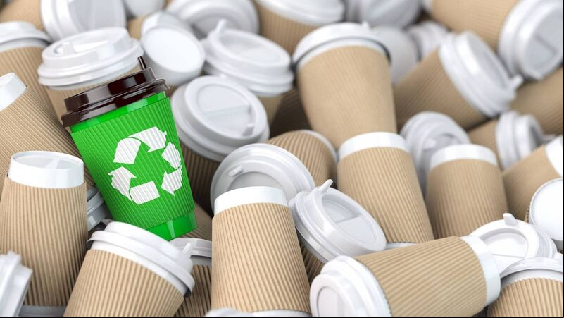 WoW! Reset 2024: Tips on how to live a greener life in 2024